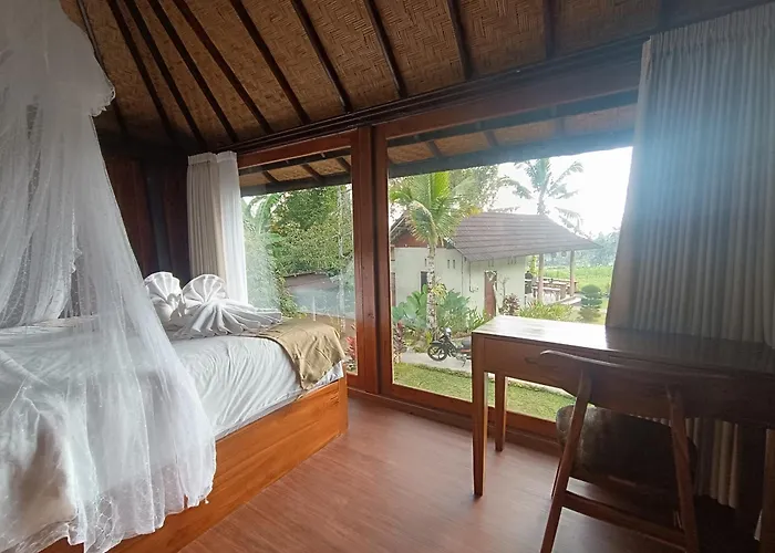 Kacu Bali